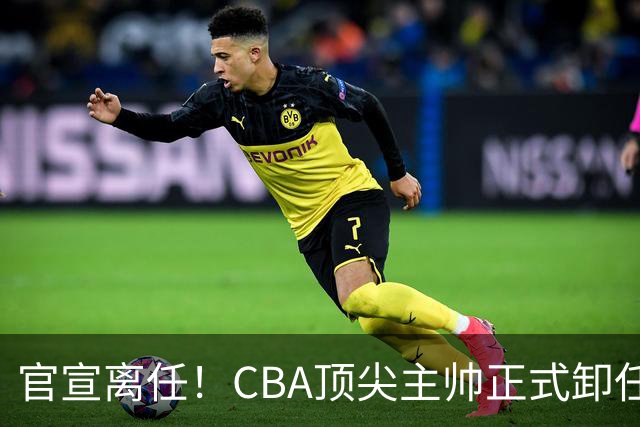 官宣离任！CBA顶尖主帅正式卸任，或将加盟广东宏远，有望接替杜锋