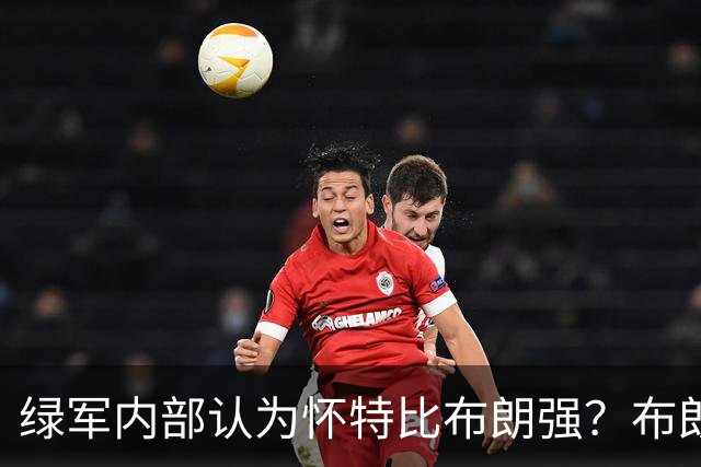 绿军内部认为怀特比布朗强？布朗上赛季场均正负值-6.2 怀特+6.8